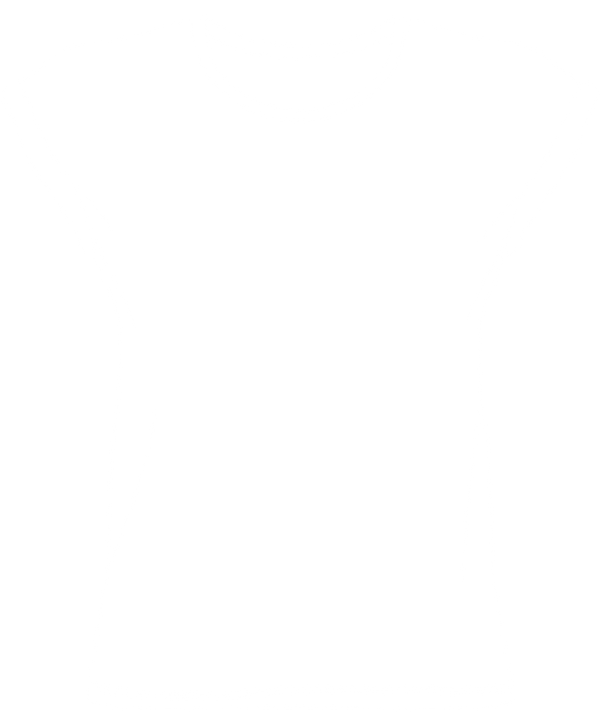 Create your own T Shirt