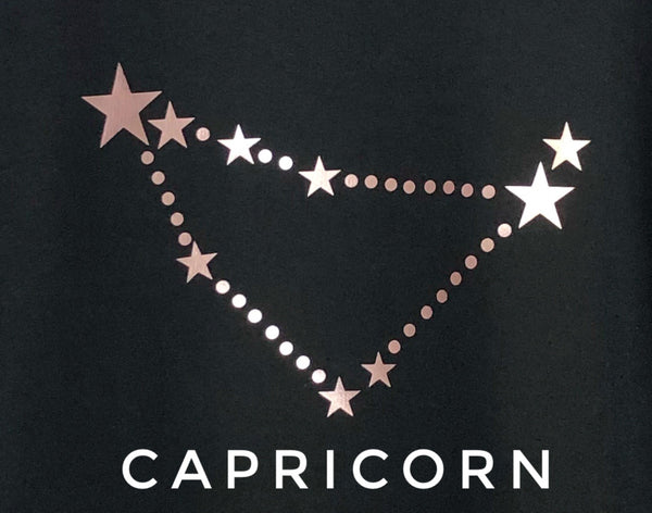 Star Sign CONSTELLATION pouch